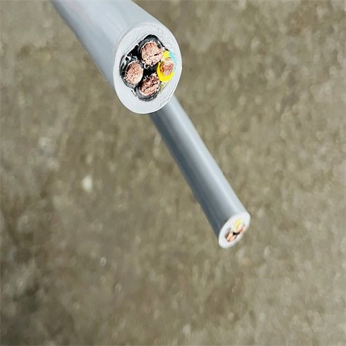 FS特.jpg