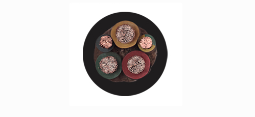 17399478073234.png image.png