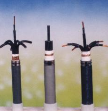 17401009923458.png image.png